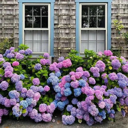 💥Outdoor Artificial Hydrangea Flowers💐