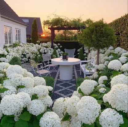 💥Outdoor Artificial Hydrangea Flowers💐